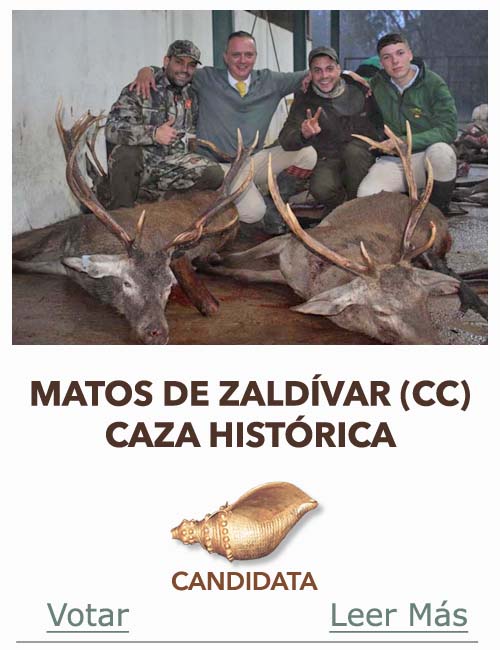 Candidatas 2025 2026 AB Campete