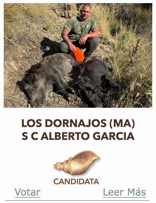 Candidatas 2025 2026 AB Campete