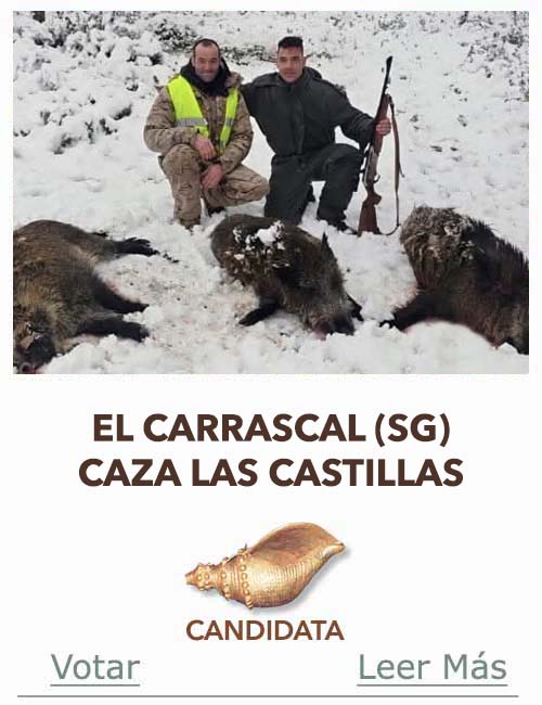 Candidatas 2025 2026 AB Campete