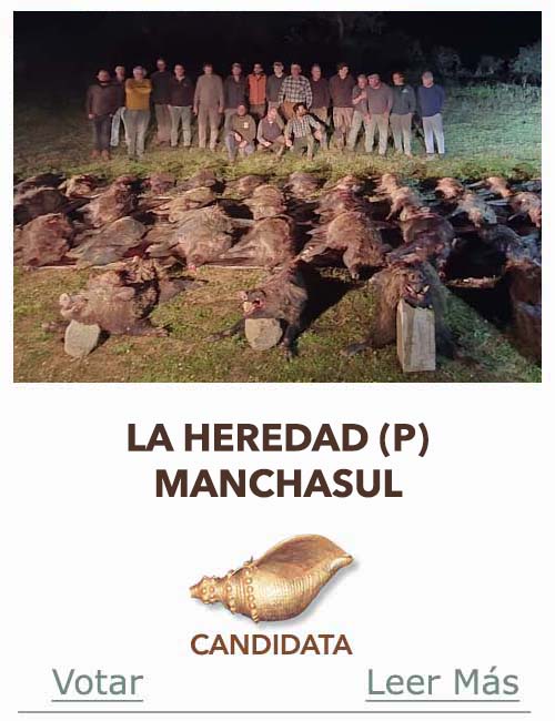 Candidatas 2025 2026 AB Campete