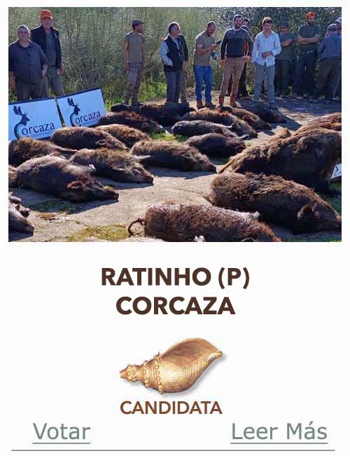 Candidatas 2025 2026 AB Campete