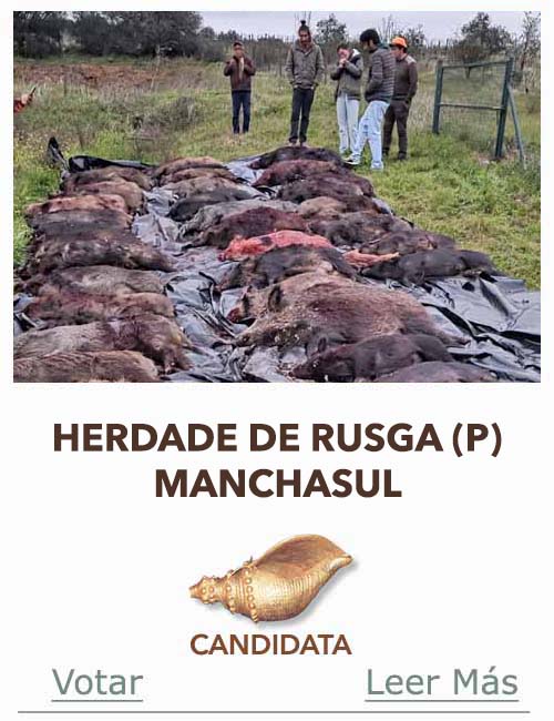 Candidatas 2025 2026 AB Campete