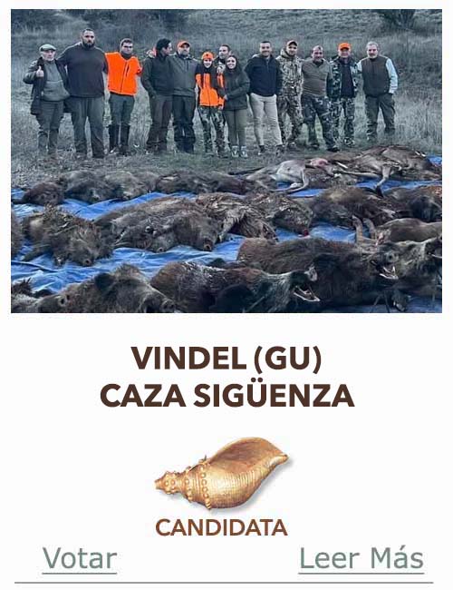 Candidatas 2025 2026 AB Campete