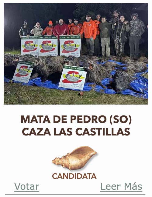 Candidatas 2025 2026 AB Campete