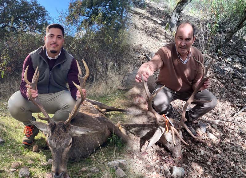 Chaqueta Caza Blaser