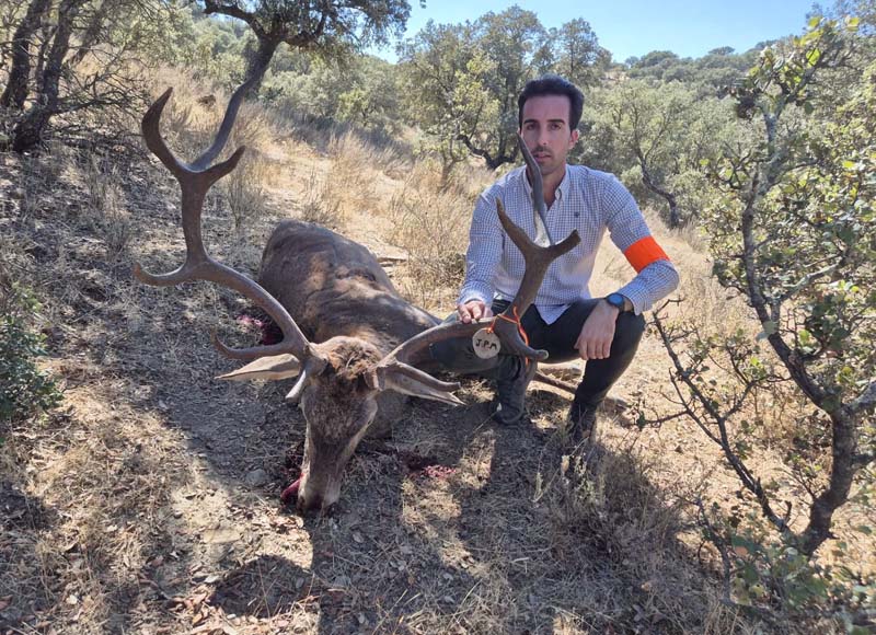 Chaqueta Caza Blaser