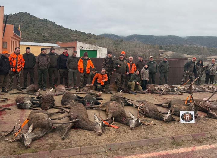 Chaqueta Caza Blaser