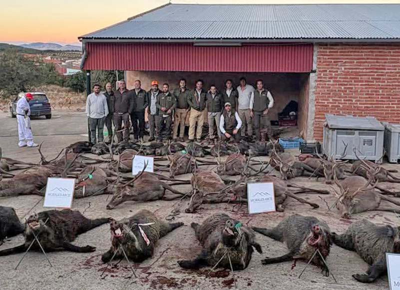 Chaqueta Caza Blaser