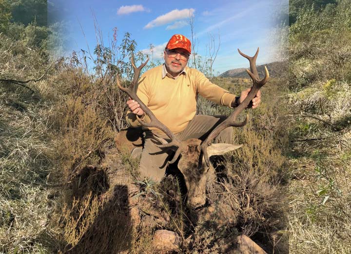 Bordalo Estellez 2025 01