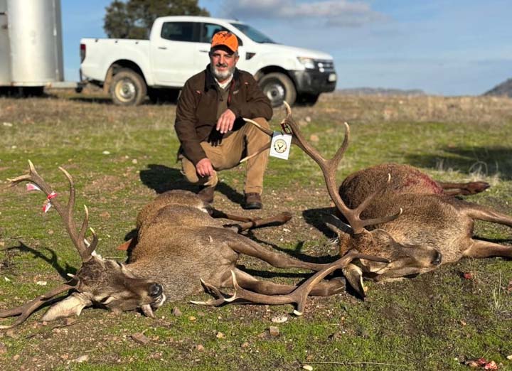 Bordalo Estellez 2025 01