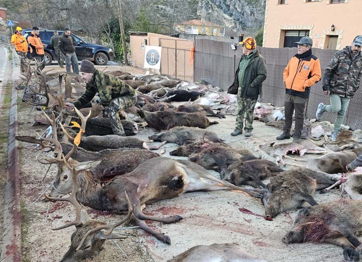 Chaqueta Caza Blaser