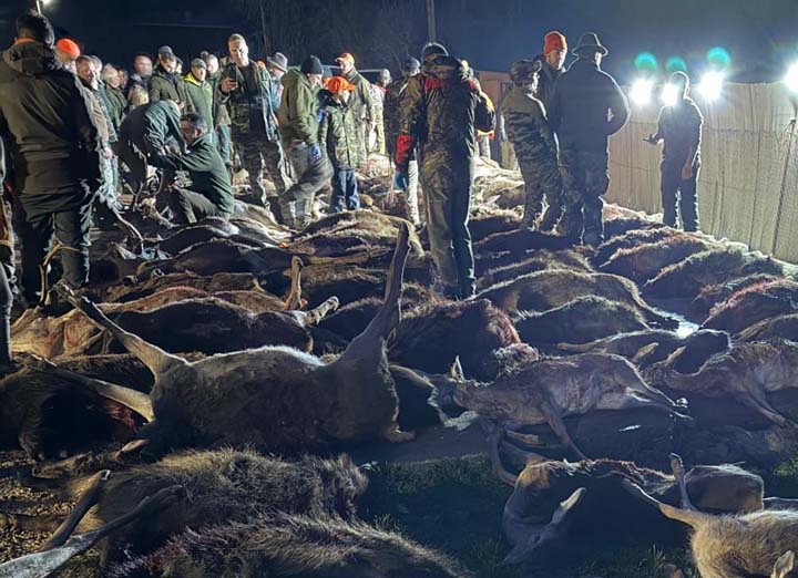 Chaqueta Caza Blaser