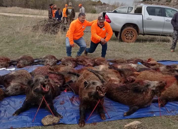 Chaqueta Caza Blaser