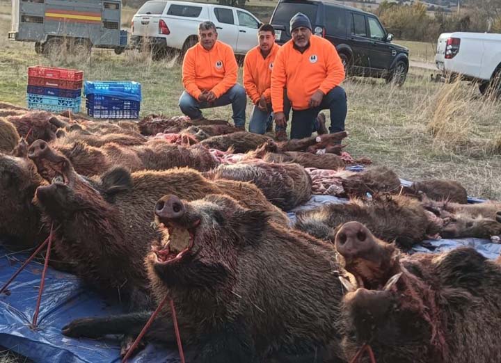 Chaqueta Caza Blaser