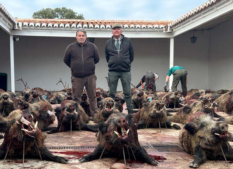 Chaqueta Caza Blaser