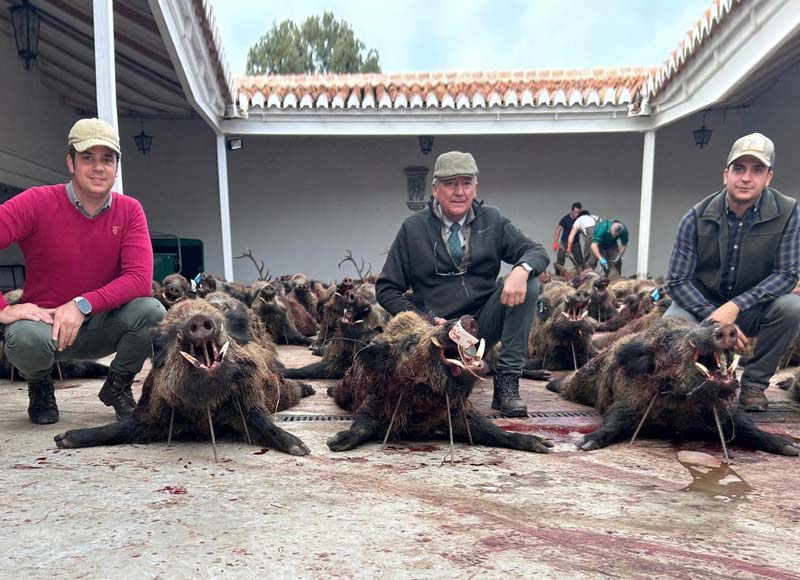 Chaqueta Caza Blaser
