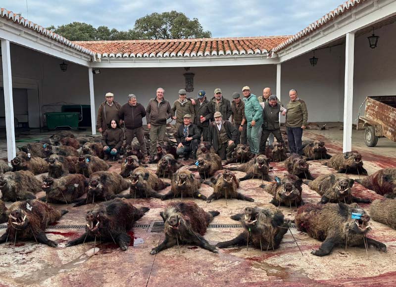 Chaqueta Caza Blaser