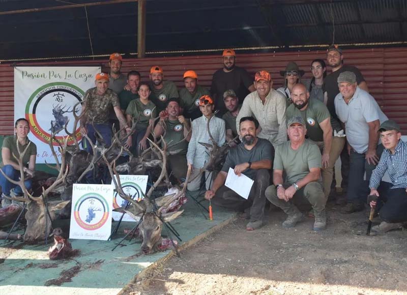 Chaqueta Caza Blaser