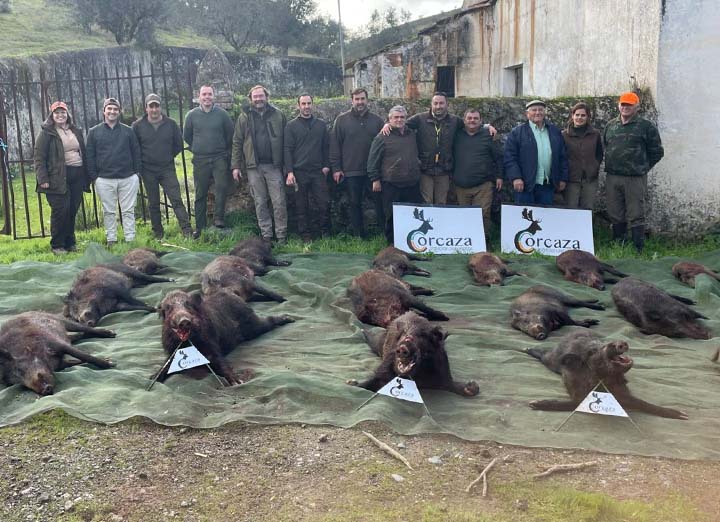 Bordalo Estellez 2025 01