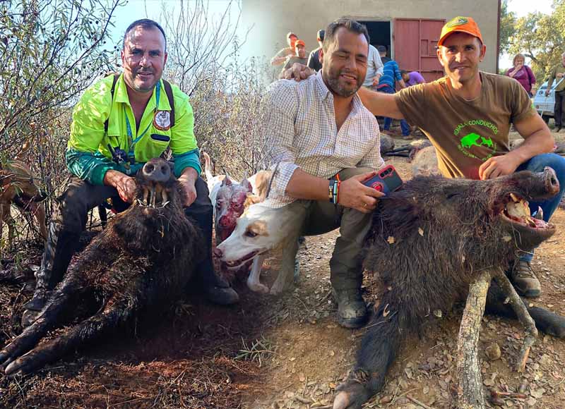 Chaqueta Caza Blaser