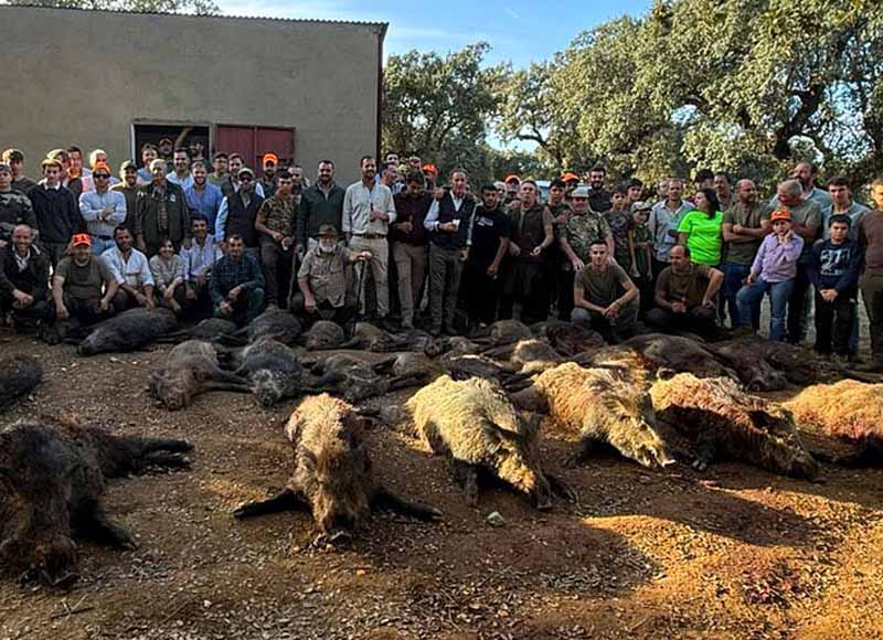 Chaqueta Caza Blaser