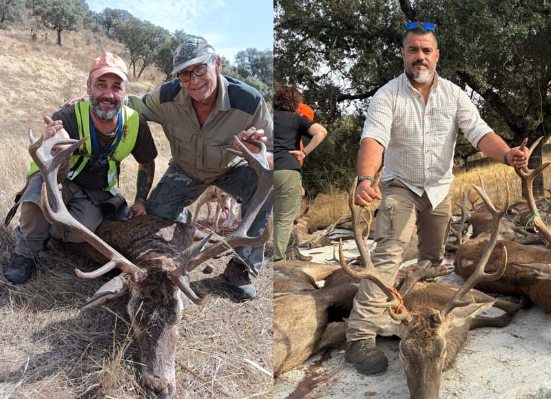 Chaqueta Caza Blaser