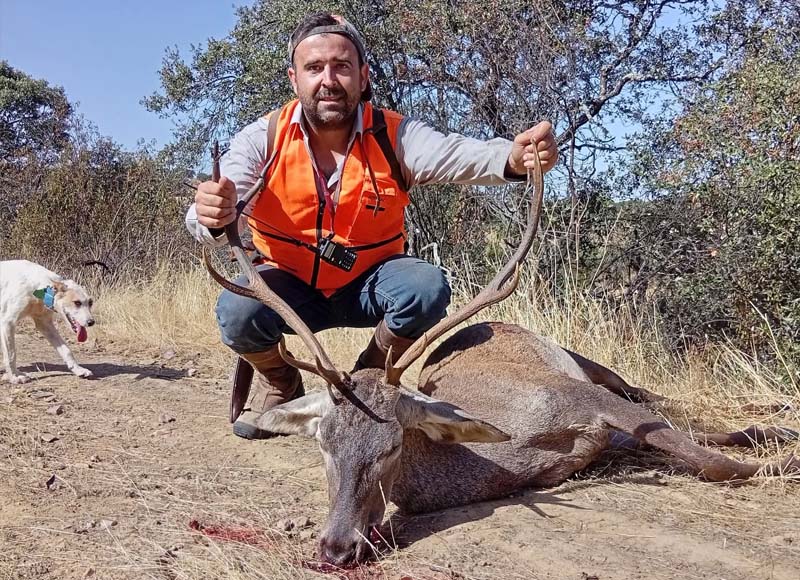 Chaqueta Caza Blaser