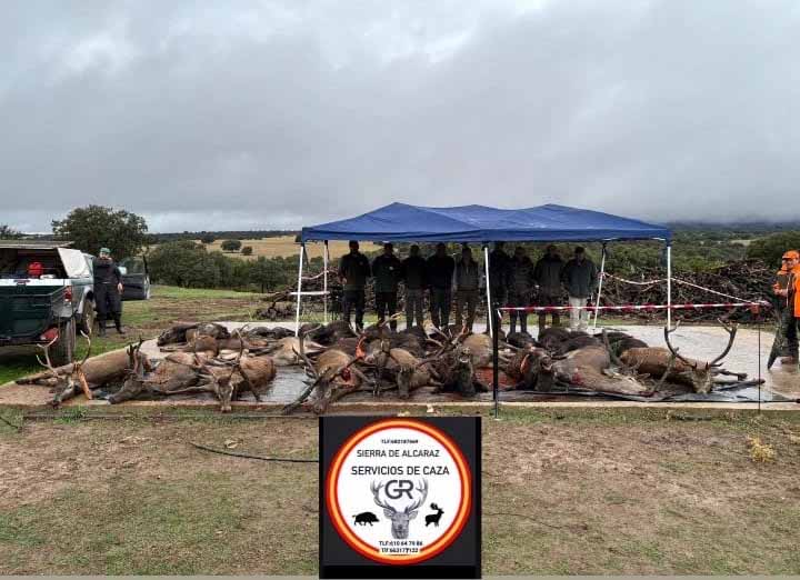 Chaqueta Caza Blaser