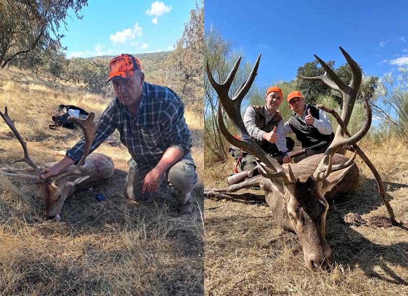 Chaqueta Caza Blaser