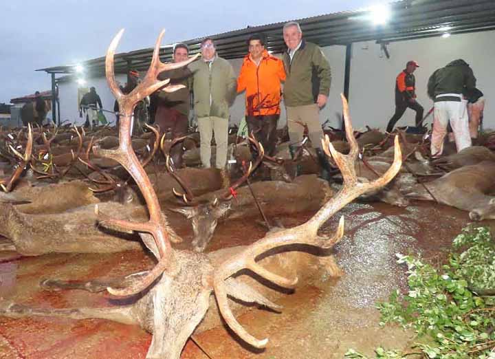 Chaqueta Caza Blaser