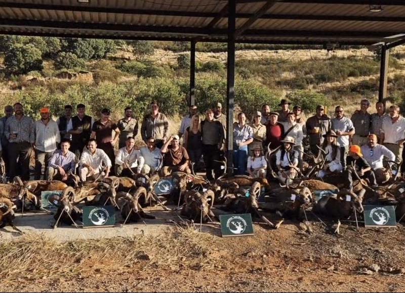 Chaqueta Caza Blaser