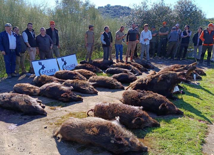 Bordalo Estellez 2025 01