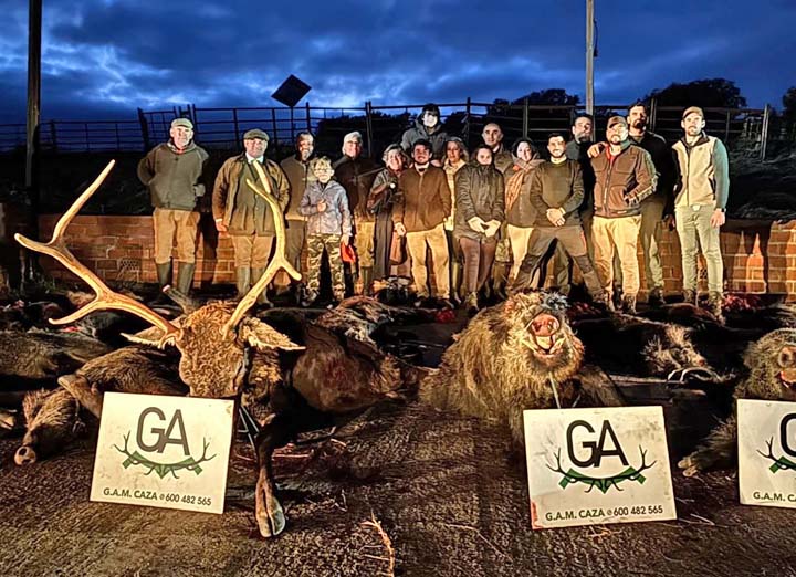 Bordalo Estellez 2025 01