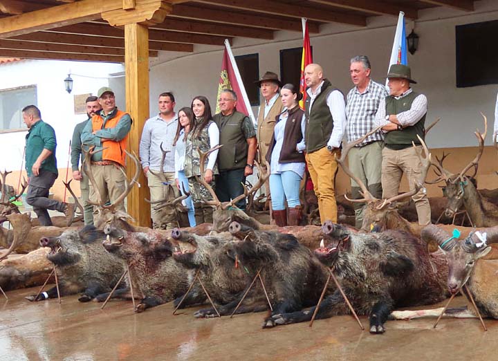 Chaqueta Caza Blaser