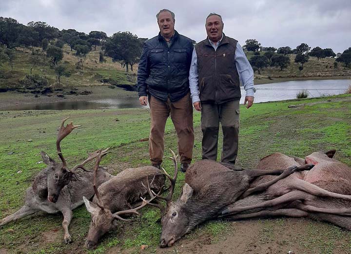 Chaqueta Caza Blaser