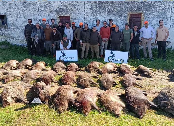 Bordalo Estellez 2025 01