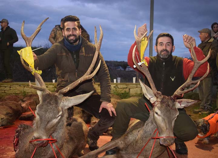 Chaqueta Caza Blaser