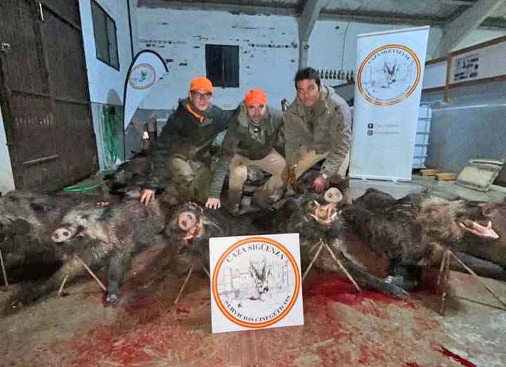 Chaqueta Caza Blaser