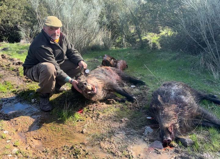 la cornicabra 2026  gozalo amin 0