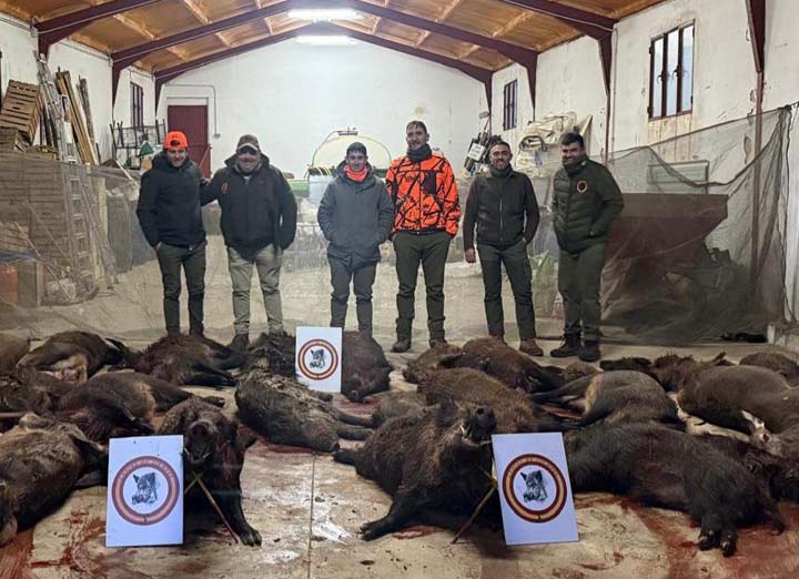 Chaqueta Caza Blaser