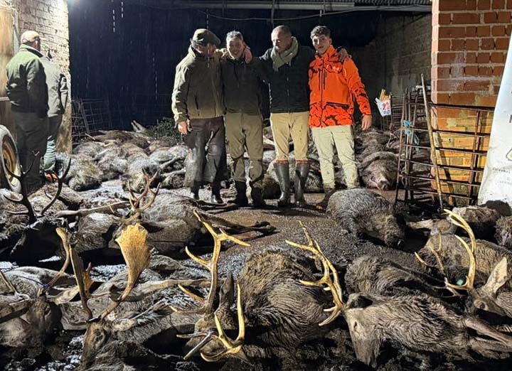 Chaqueta Caza Blaser