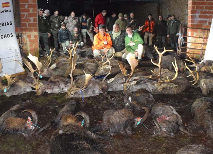 Chaqueta Caza Blaser