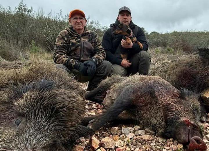 Bordalo Estellez 2025 01