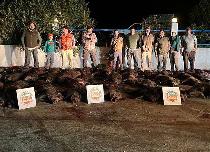 Bordalo Estellez 2025 01