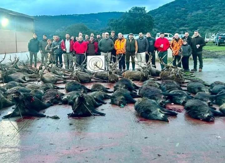 Chaqueta Caza Blaser