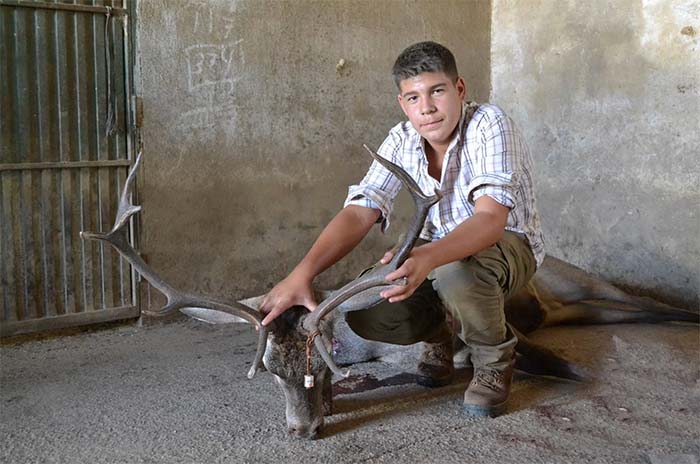 AlcornoqueAlto201904