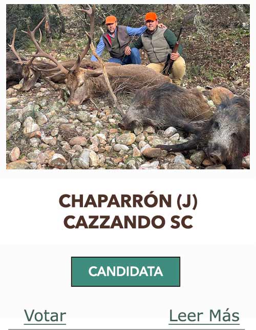 CandidatasPueblaEstellez Chaves