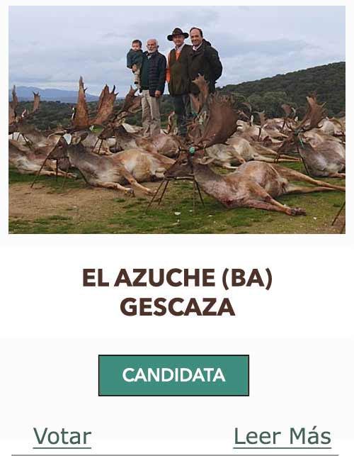 CandidatasPueblaEstellez Chaves