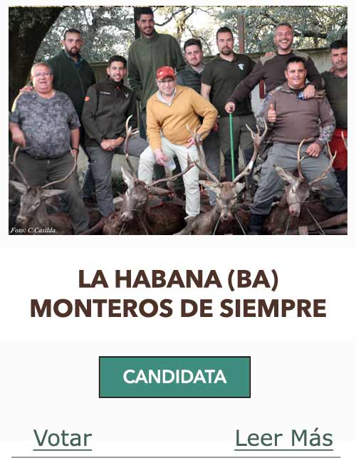 CandidatasPueblaEstellez Chaves