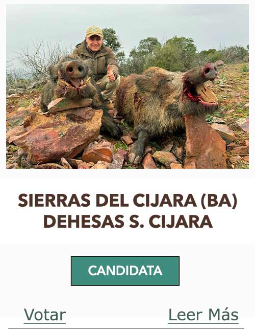 CandidatasPueblaEstellez Chaves